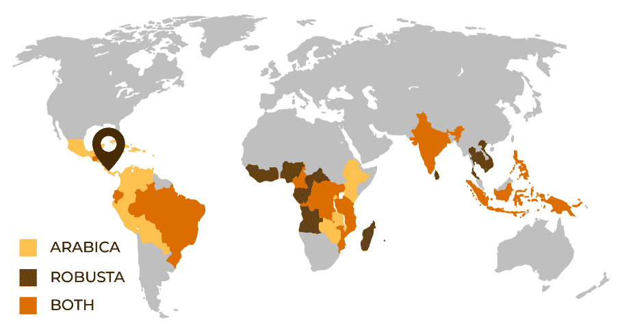 Provenienza caffè Messico dalla regione del Chiapas